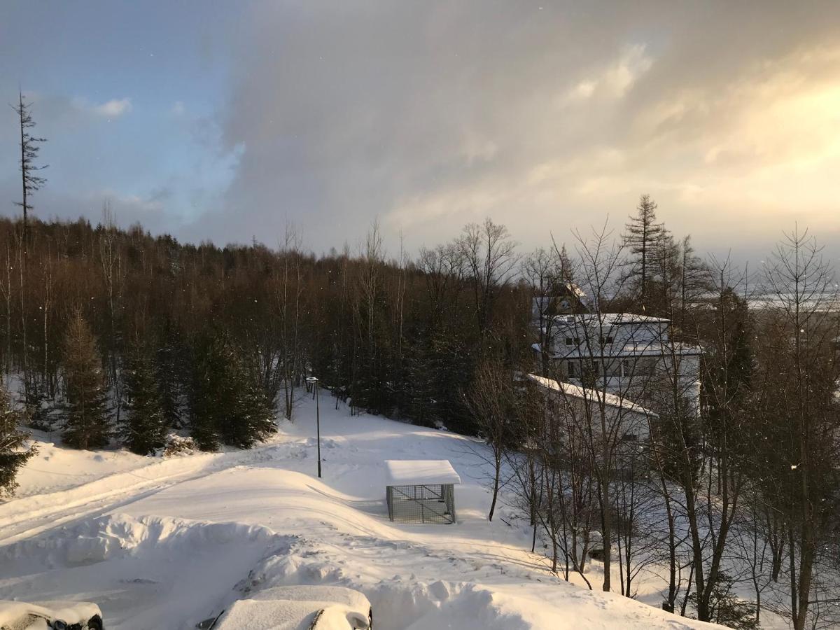 Bellevue Apartments Vila Vlasta Stary Smokovec Vysoké Tatry Εξωτερικό φωτογραφία